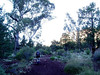 mickshave > Day one, heading for Pigeon Bore - and water.