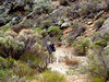 Mick behind the bushes - and a trail marker