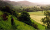 mickshave > Walking The Heysen Trail photo