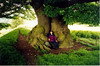 mickshave > Offa's Dyke, Lyn, and a friendly Oak tree