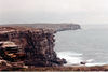 mickshave > Walking the Royal National Park (NSW - Australia) photo